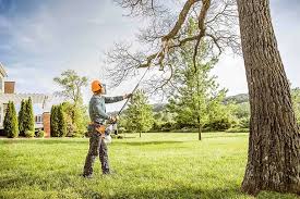 How Our Tree Care Process Works  in  Bluffton, IN