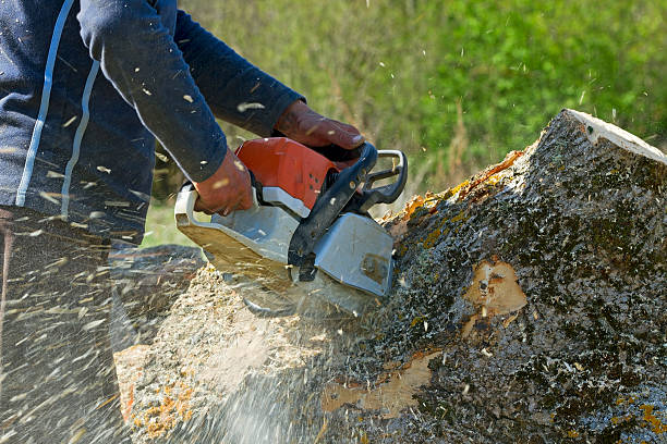 Best Utility Line Clearance  in Bluffton, IN